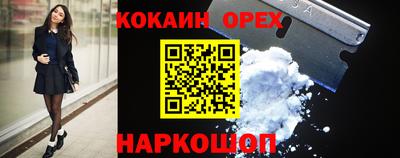 шишки Кандалакша