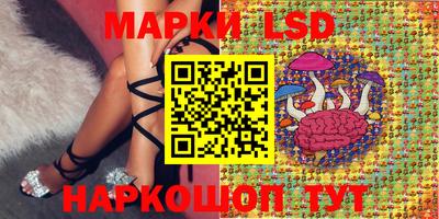шишки Кандалакша