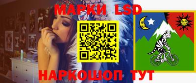 шишки Кандалакша