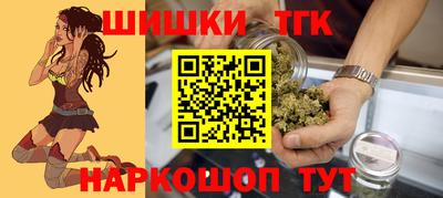 шишки Кандалакша