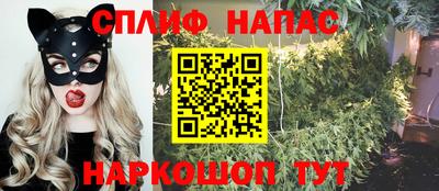 шишки Кандалакша