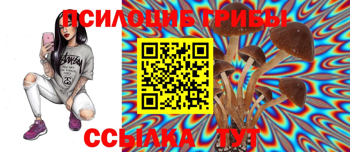Галлюциногенные грибы мицелий Курчатов