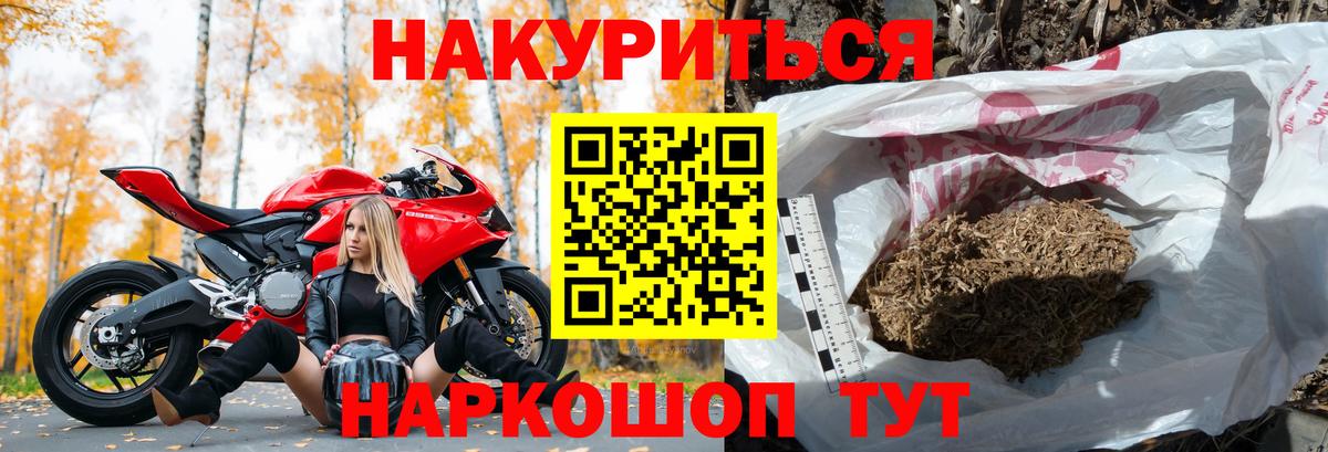 Конопля планчик Курчатов